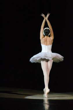 Dnipropetrovsk Devlet Opera ve bale Tiyatrosu konseri