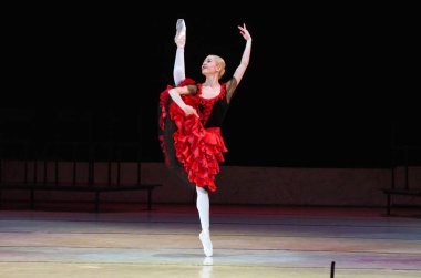 Dnipropetrovsk Devlet Opera ve bale Tiyatrosu konseri