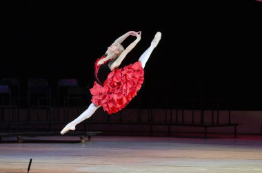 Dnipropetrovsk Devlet Opera ve bale Tiyatrosu konseri