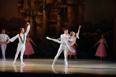 Klasik bale Nutckracker