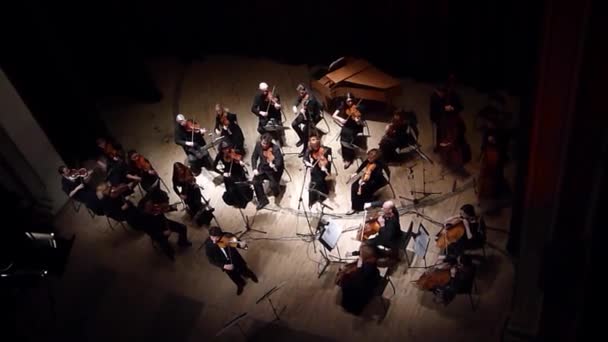 Vier Jahreszeiten Kammerorchester — Stockvideo