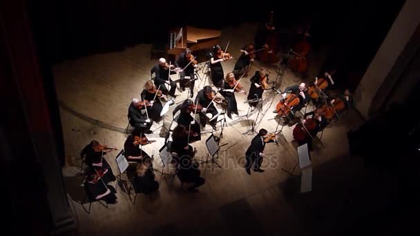 Vier seizoenen Kamerorkest — Stockvideo