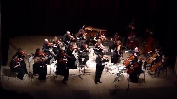 Vier seizoenen Kamerorkest — Stockvideo