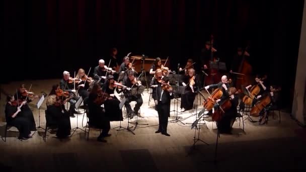 Vier seizoenen Kamerorkest — Stockvideo