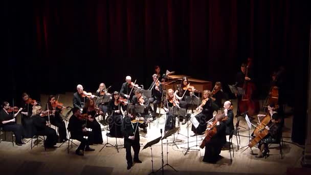 Quattro stagioni Orchestra da Camera — Video Stock