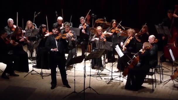 Vier seizoenen Kamerorkest — Stockvideo