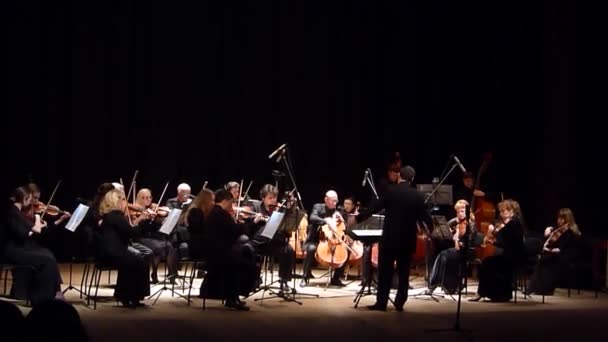 Vier Jahreszeiten Kammerorchester — Stockvideo