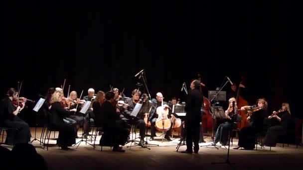 Cztery sezony Orkiestra Kameralna — Wideo stockowe