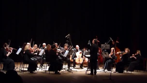 Vier seizoenen Kamerorkest — Stockvideo