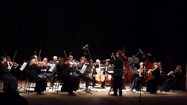 Vier seizoenen Kamerorkest — Stockvideo