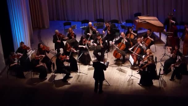 Камерный оркестр четырёх сезонов — стоковое видео