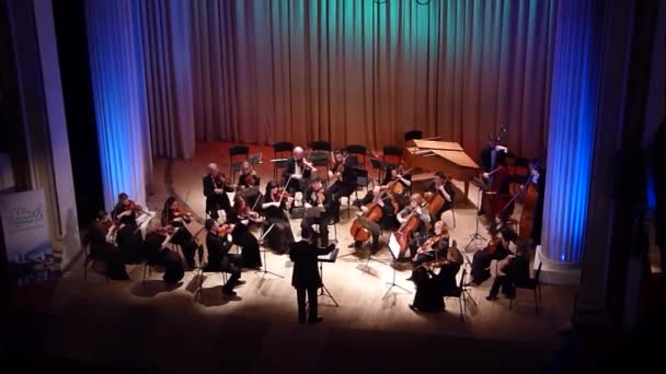 Four seasons Chamber Orchestra — Stock Video