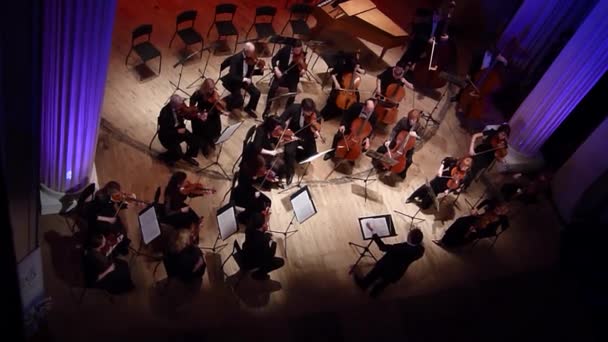 Quatro estações Orquestra de Câmara — Vídeo de Stock