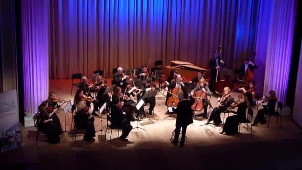 Vier seizoenen Kamerorkest — Stockvideo