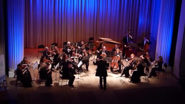 Four seasons Chamber Orchestra — Stock Video