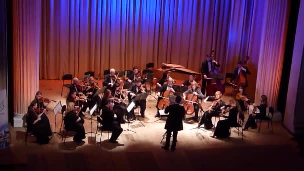 Vier seizoenen Kamerorkest — Stockvideo