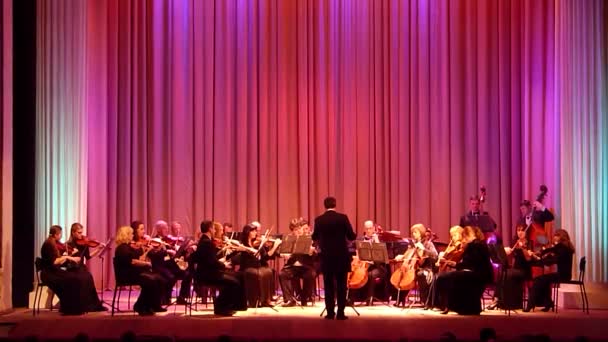 Камерный оркестр четырёх сезонов — стоковое видео
