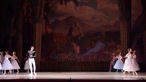 Balletto classico Lago dei cigni — Video Stock