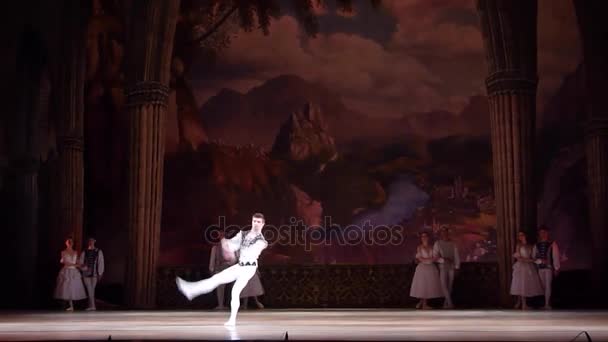 Klassisches Ballett Schwanensee — Stockvideo