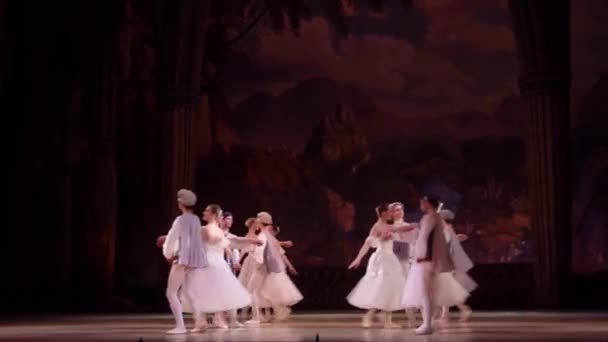 Klassiek ballet Zwanenmeer — Stockvideo