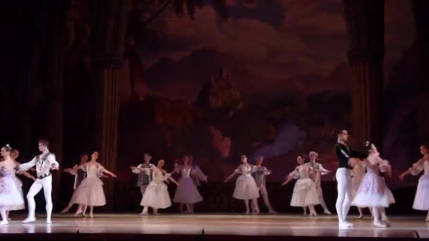 Klassiek ballet Zwanenmeer — Stockvideo