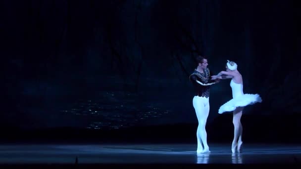 クラシック バレエ白鳥の湖 — ストック動画