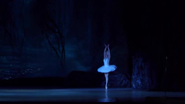 Ballet clásico Lago de los Cisnes — Vídeos de Stock