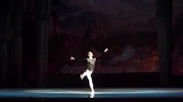 Balletto classico Lago dei cigni — Video Stock