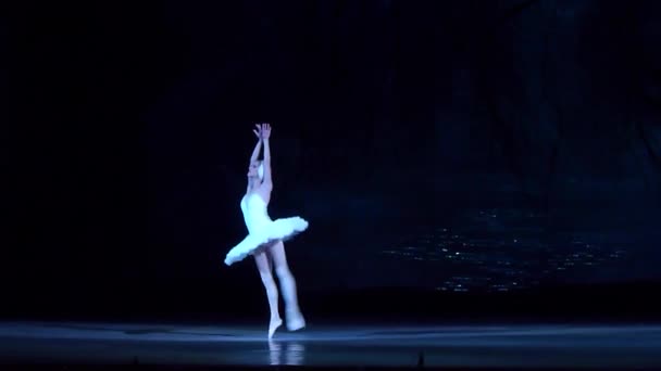 Klassiek ballet Zwanenmeer — Stockvideo