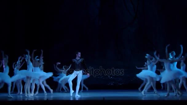 Ballet clásico Lago de los Cisnes — Vídeos de Stock