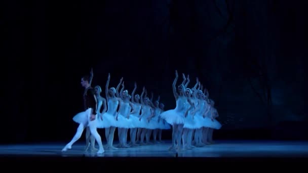 Klasycznego baletu jezioro łabędzie — Wideo stockowe