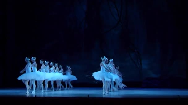Klassiek ballet Zwanenmeer — Stockvideo