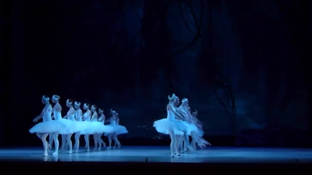 Ballet clásico Lago de los Cisnes — Vídeos de Stock