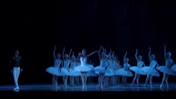 Klasycznego baletu jezioro łabędzie — Wideo stockowe