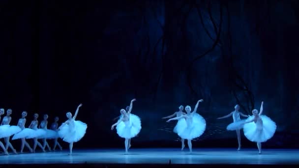 Balletto classico Lago dei cigni — Video Stock