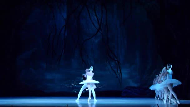 Класичного балету Лебедине озеро — стокове відео