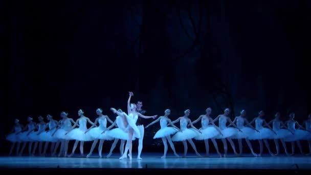 Klasický balet Labutí jezero — Stock video