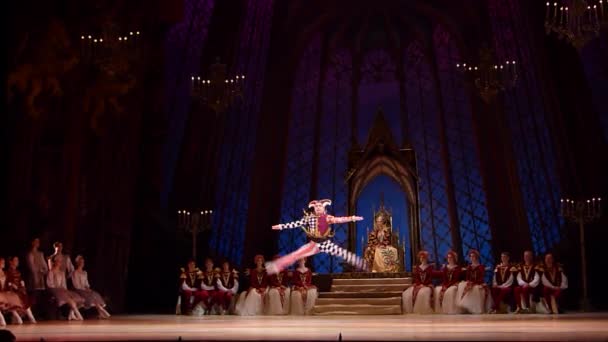 Klassiek ballet Zwanenmeer — Stockvideo