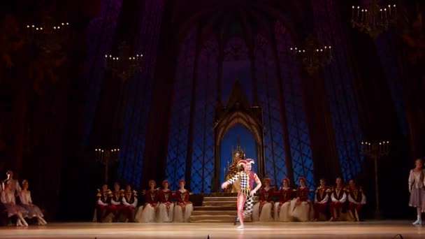 Klassiek ballet Zwanenmeer — Stockvideo