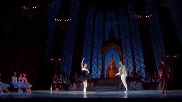 Klassisk ballet Swan Lake – Stock-video