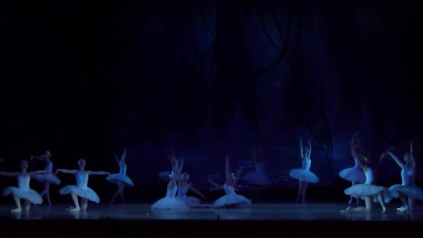 Ballet clásico Lago de los Cisnes — Vídeos de Stock