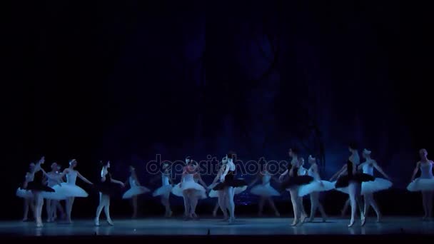 Klassiek ballet Zwanenmeer — Stockvideo