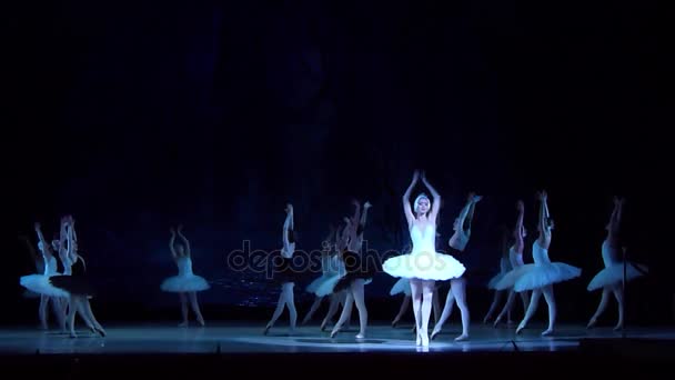 Ballet classique Lac des Cygnes — Video