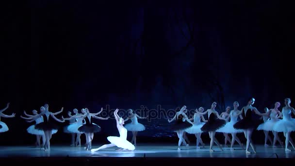 Klassisches Ballett Schwanensee — Stockvideo