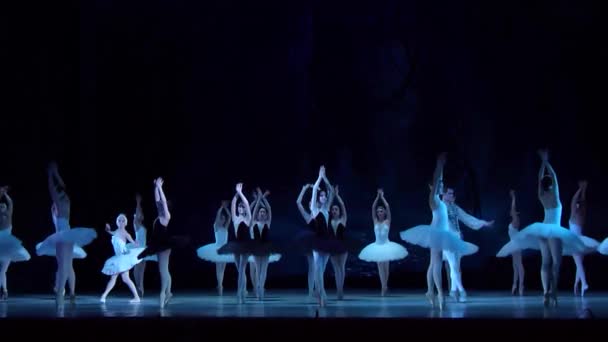 Ballet clásico Lago de los Cisnes — Vídeos de Stock