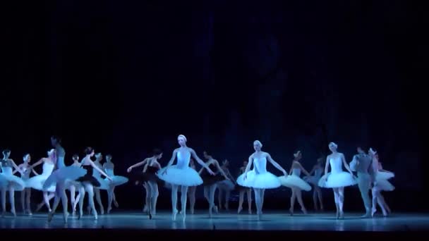 Klassisches Ballett Schwanensee — Stockvideo