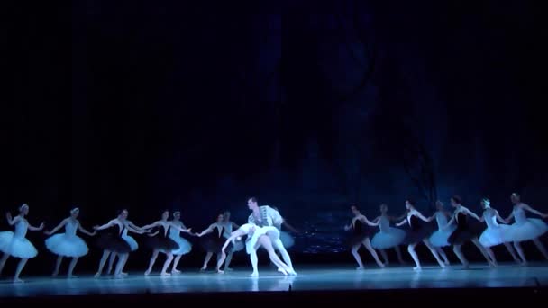 Klassisches Ballett Schwanensee — Stockvideo