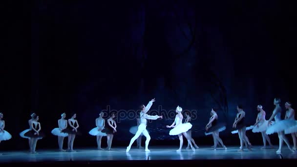 Klassisches Ballett Schwanensee — Stockvideo