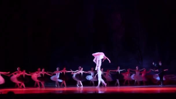 古典芭蕾舞剧天鹅湖 》 — 图库视频影像