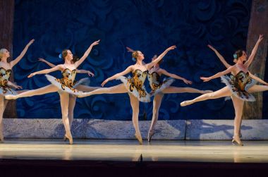 Klasik bale uyku Güzellik